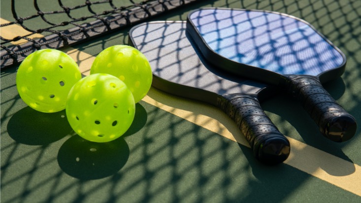 pickleball terms